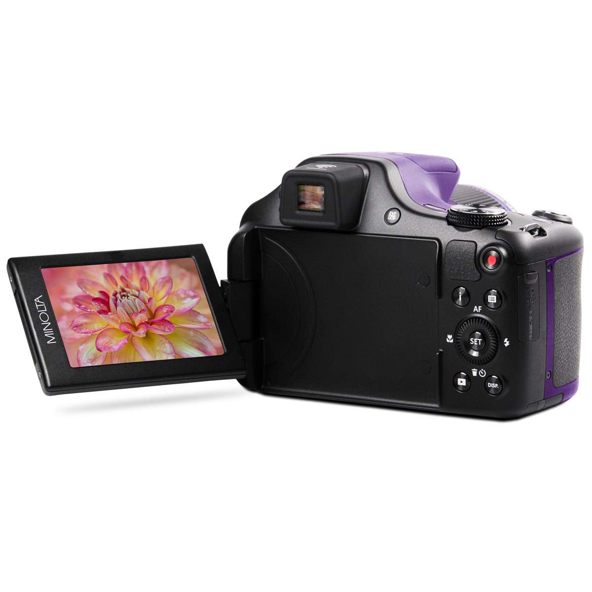 Minolta Pro Shot 20 Mega Pixel HD Digital Camera with 67x Optical Zoom, Full 1080p HD Video & 16GB SD Card (Purple)