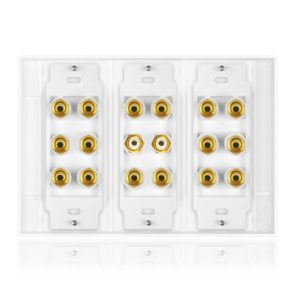 Icespring 5 6 7.1/7.2 Or 8.1/8.2 One Or Two Subwoofer Compatible 16 Banana Post And 2 Rca Speaker Wall Plate For Home Theater Au