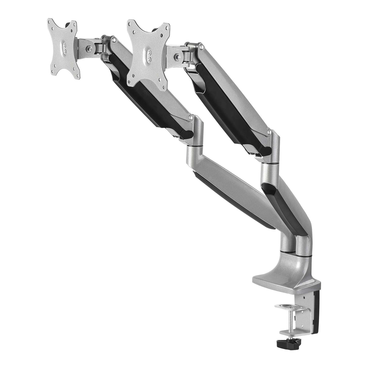 Dual Desk Mount