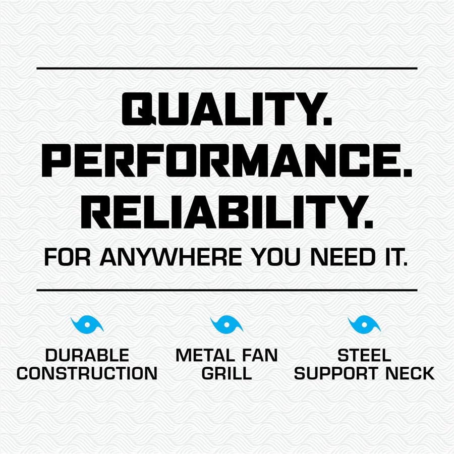 Hurricane Wall Mount Fan, Quiet 90 Degree Oscillating Fan With 3 Speeds, 16'' Classic