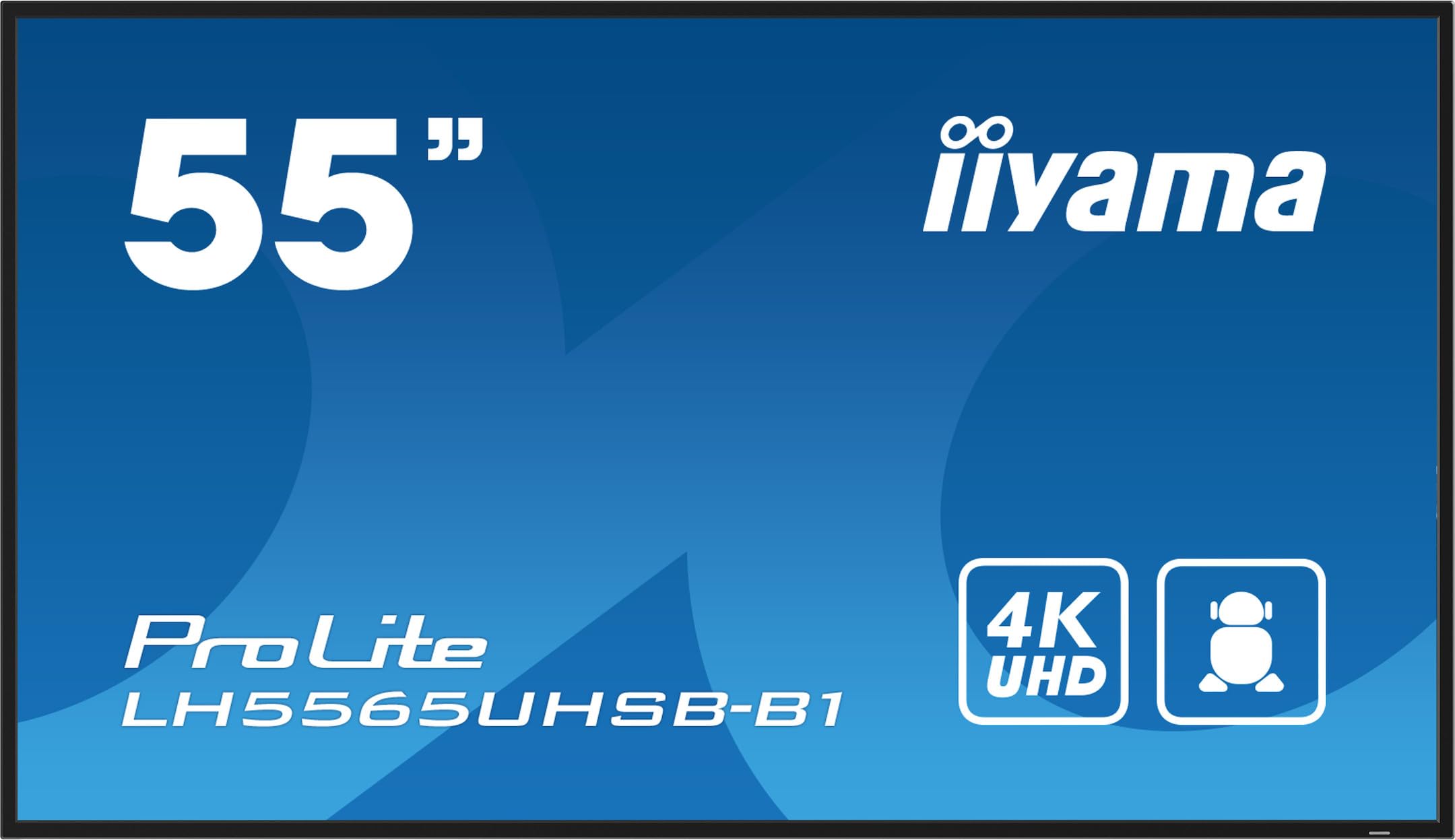 Dis Public 55 Iiyama LH5565UHSB-B1 UHD