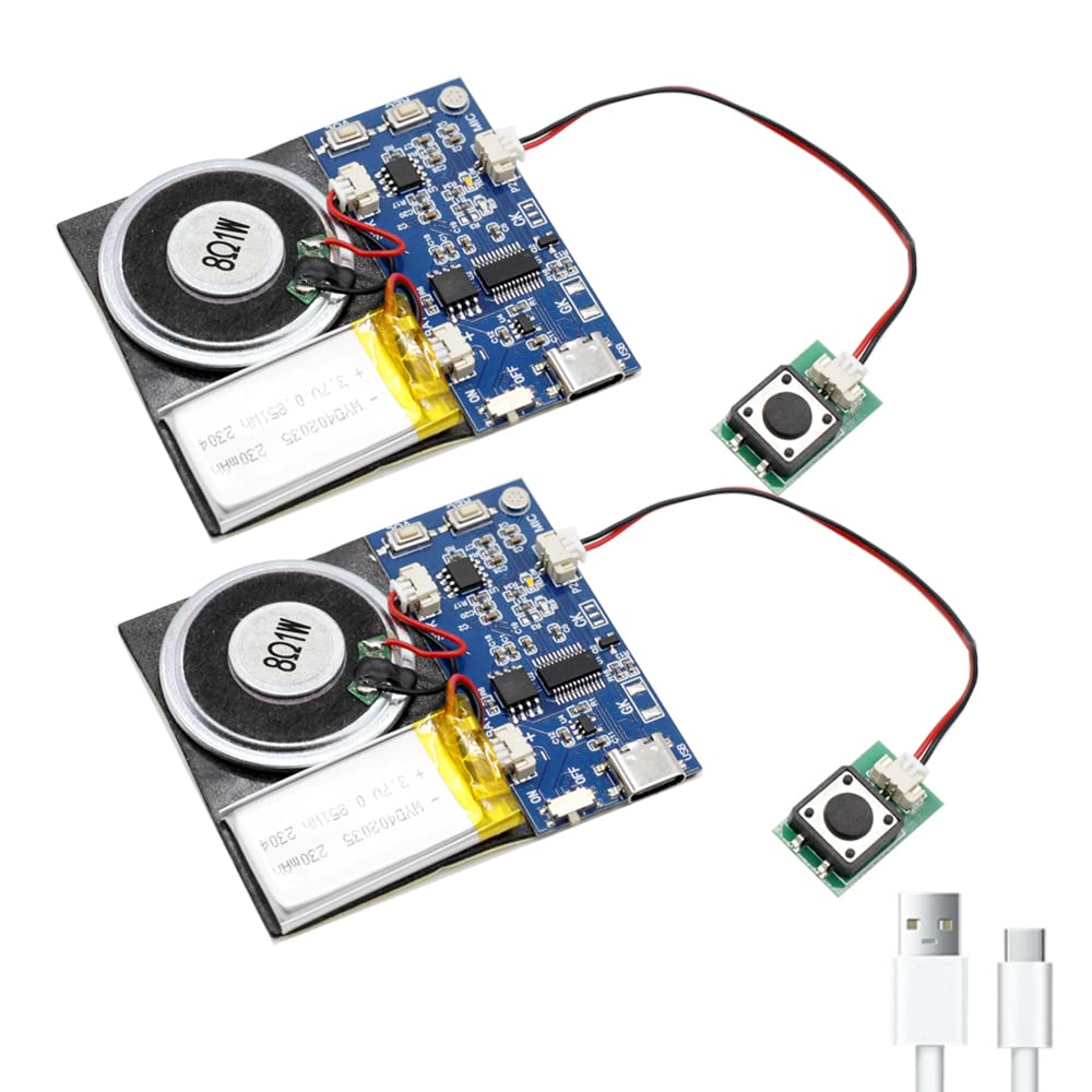 XLW Module - 16MB Push Button Activated Sound Module with Speaker, Type-C Cable, and Easy Recording Capability16 Minutes for Per