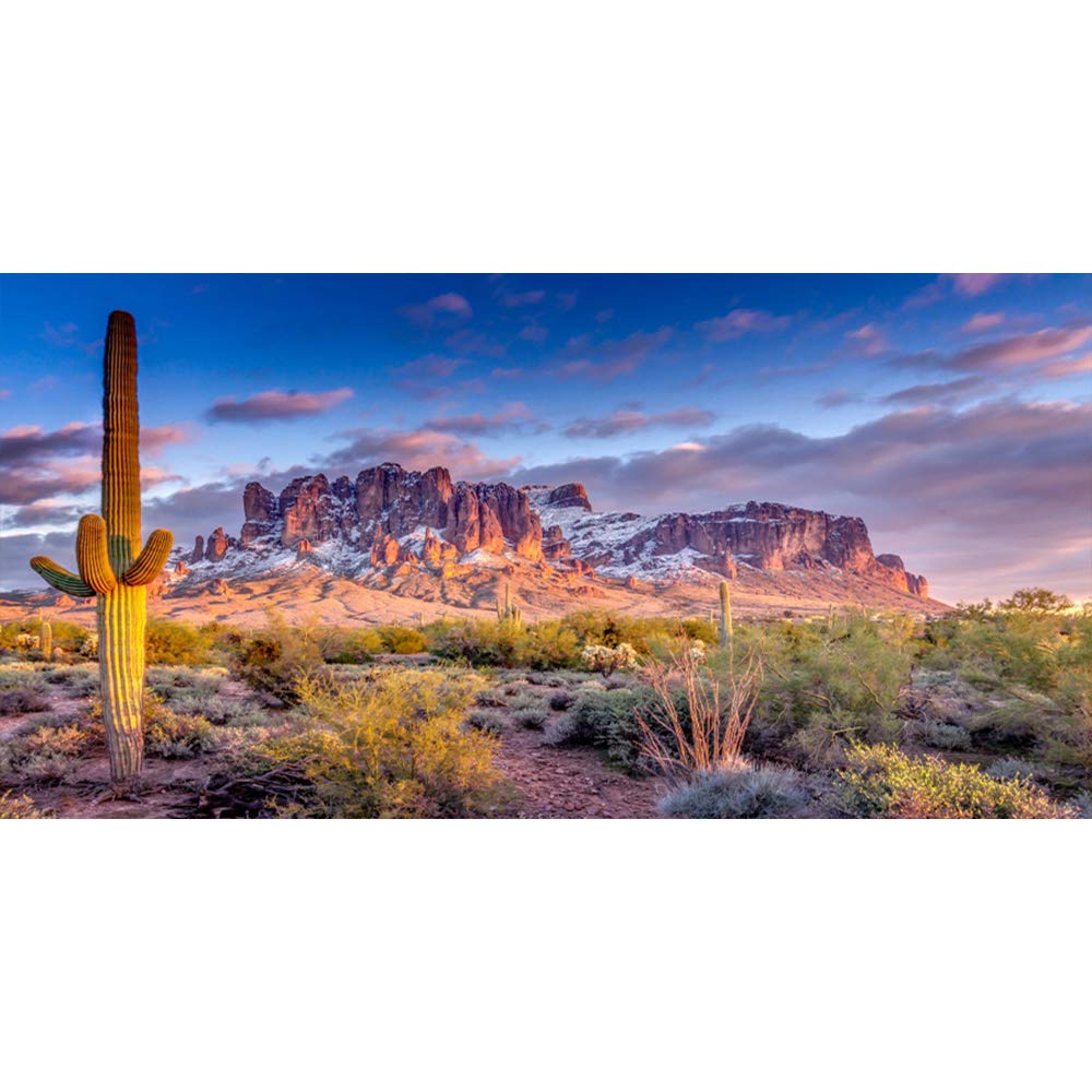 Leyiyi 30X12 Inches Arazona Mountain Cactus Photography Background Desert Sunset Summit Western American Travel Hiking Desert Fl