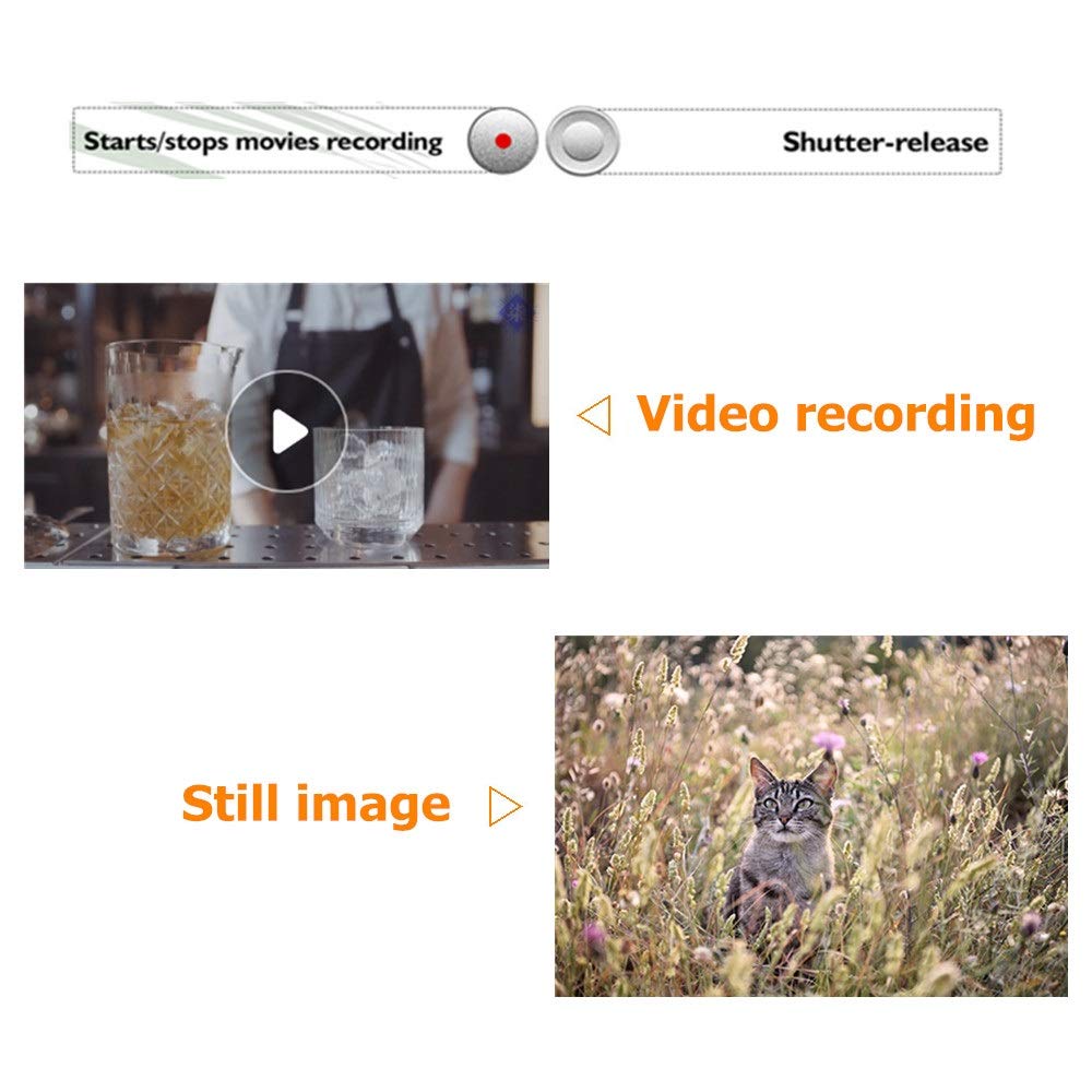 Pholsy Wireless Remote Commander For Nikon Nikon Z30, Z6 Ii, Z7 Ii, Z Fc, Z50, B600, A1000, P1000, P950 - Wireless Remote Contro