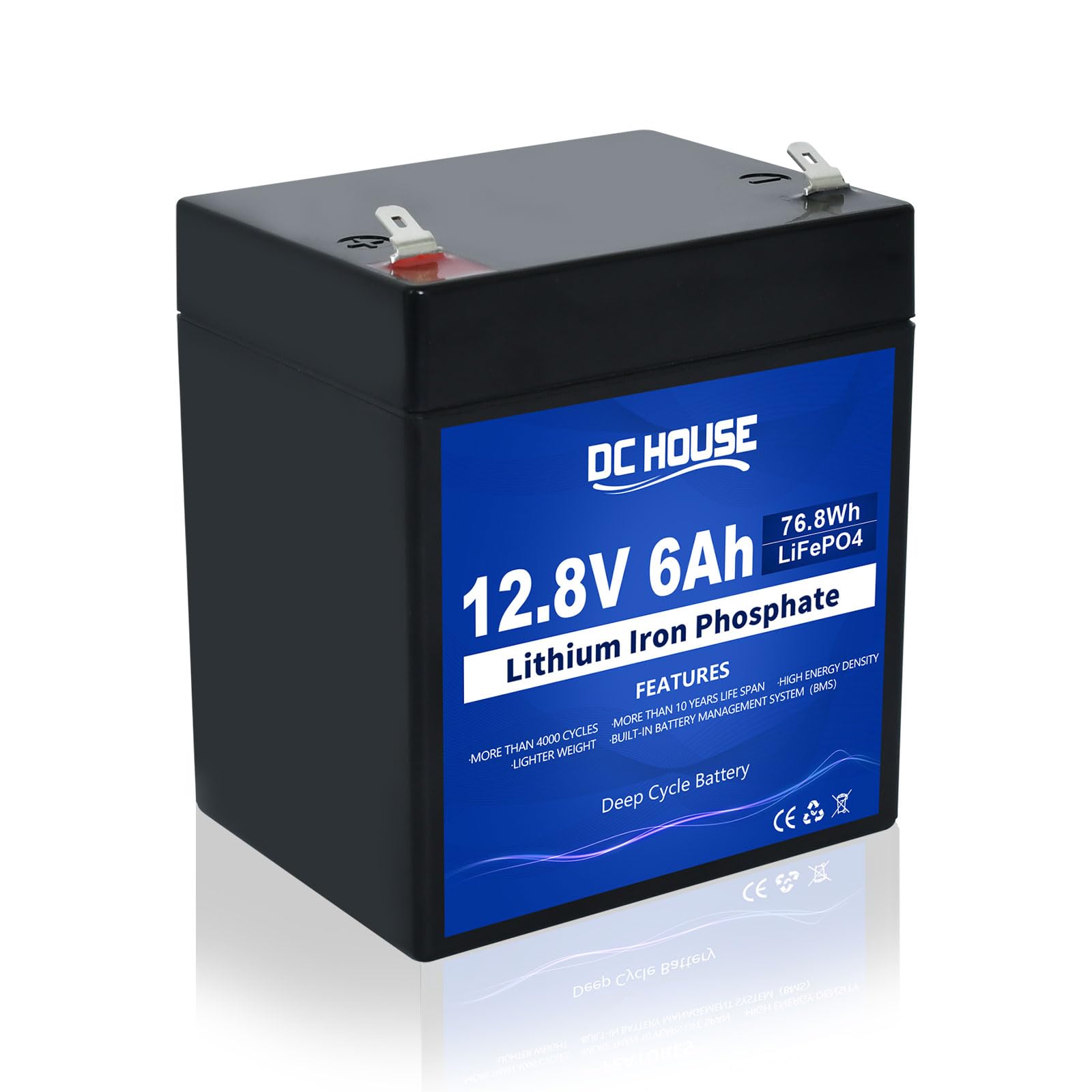 DC HOUSE 12V 6Ah Mini Lithium LiFePO4 Deep Cycle Battery, 3000+ Cycles Lithium Iron Phosphate Rechargeable Battery for UPS, Ligh