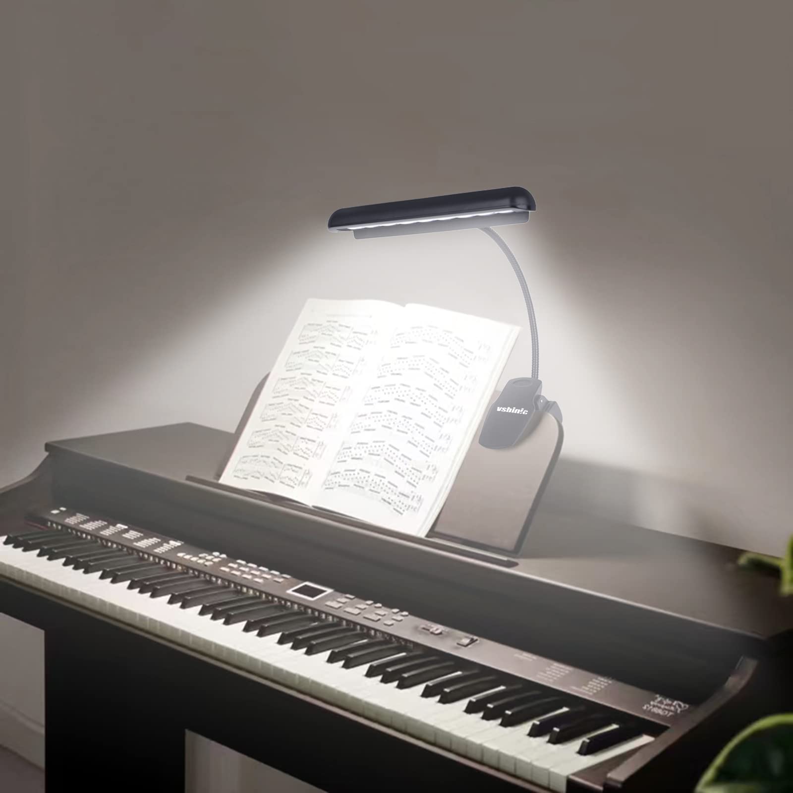 Vshinic Music Stand Light, Clip-On 9 LED Lamp, Adjustable, Black, Model DL-09, Battery/AC Powered for Musicians and Readers