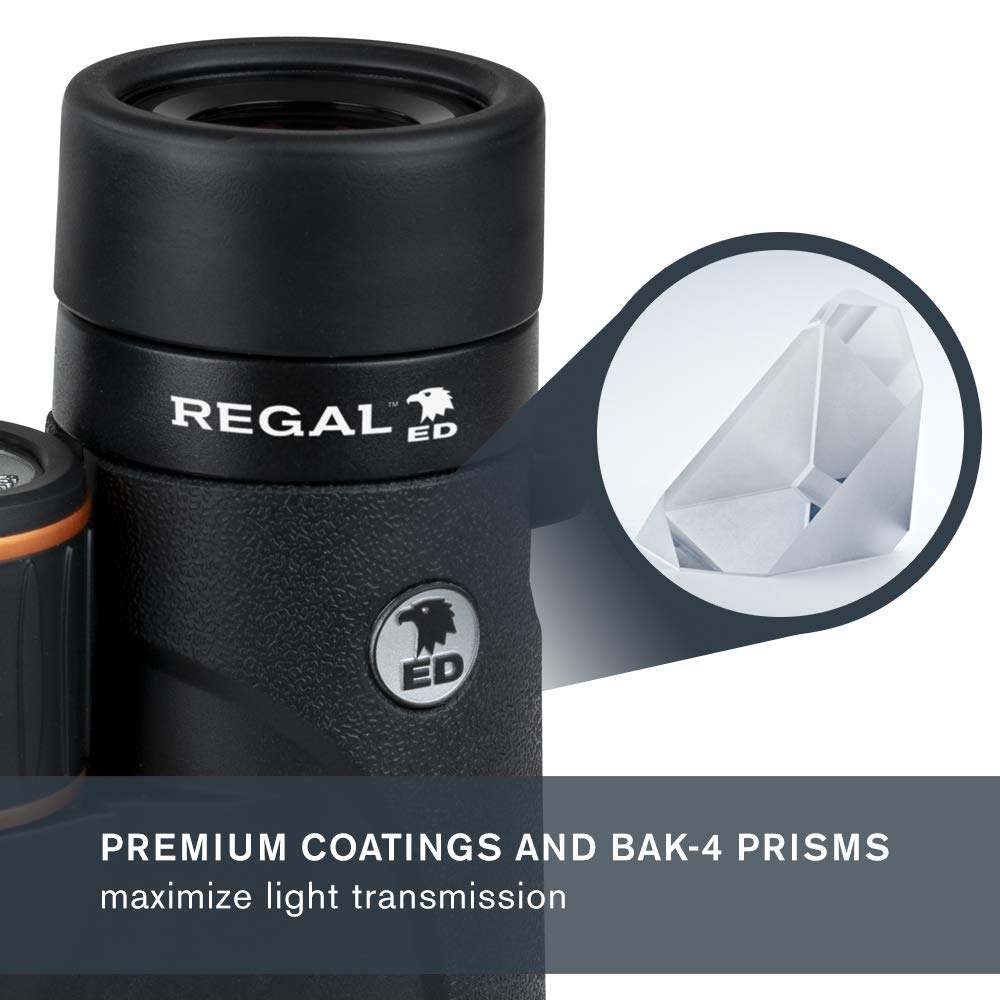 Celestron   Regal Ed 10X42 Binocular   Ed Binoculars For Hunting, Birding And Outdoor Actvities   Phase And Dielectric Coated Ba