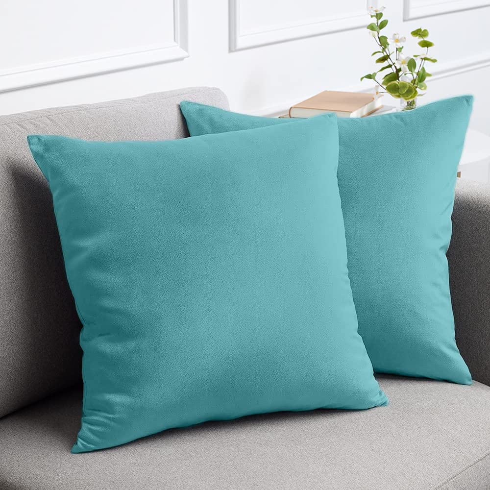Lalaloom Velvet Throw Pillow Cases, Set Of 2, Softest Accent Case For Pillows, Decorative Square Covers For Home Decor, Silky Co