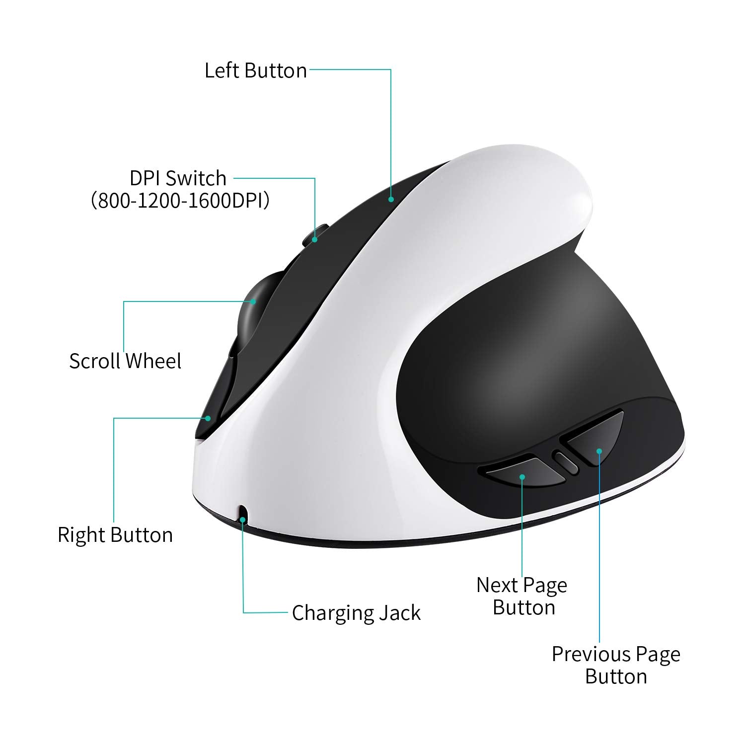 Aurtec Vertical Mouse, Rechargeable 2.4G Wireless Ergonomic Mice With Usb Receiver, 6 Buttons And 3 Adjustable Dpi 800/1200/1600, White