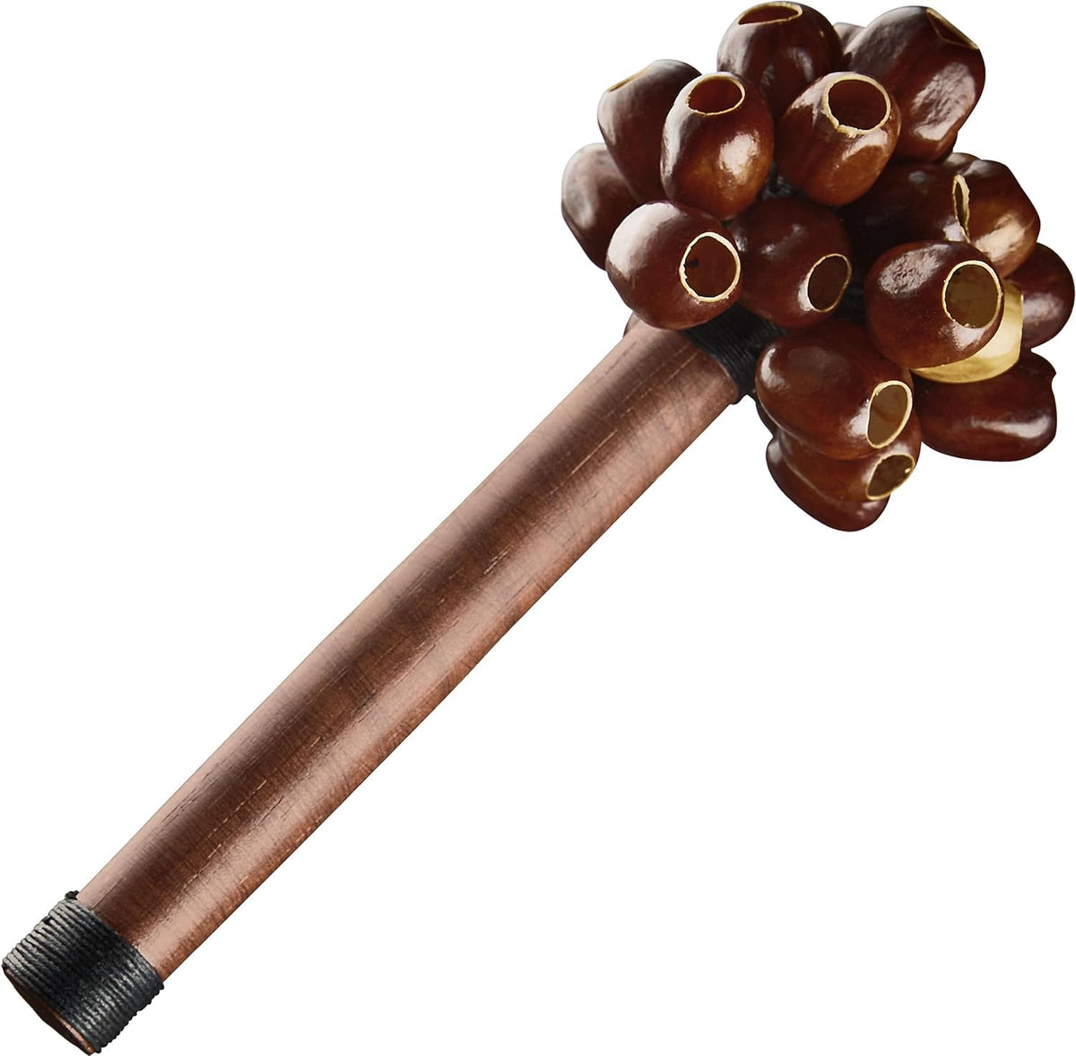 Meinl Sonic Energy Seed Shell Shaker Percussion Instrument - Nature ...