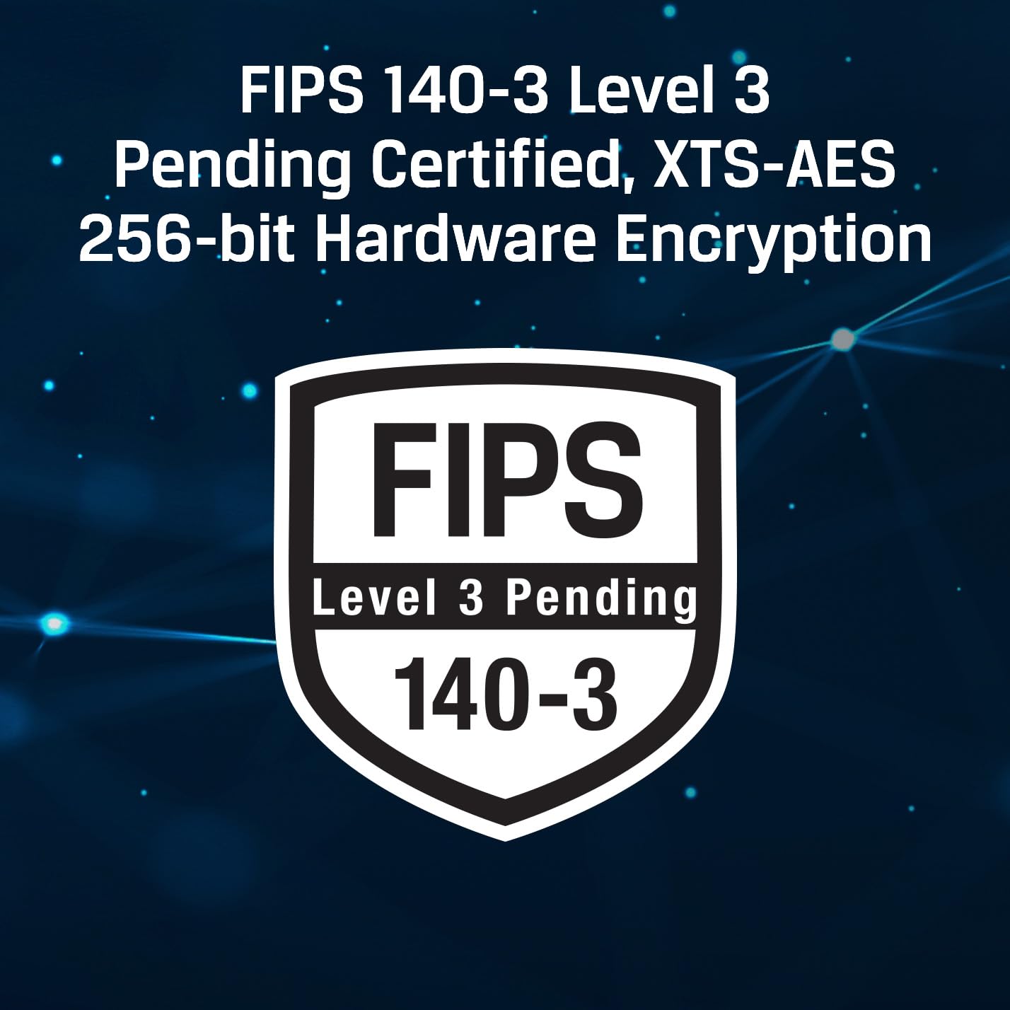 Kingston Ironkey Keypad 200 Usb A 256Gb Encrypted Flash Drive | Os Independent | Fips 140 3 Level 3 | Xts Aes 256 Bit | Badusb A