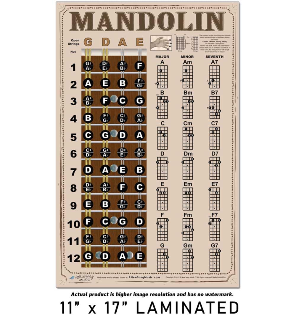 Laminated Mandolin Americana Style Easy Chord & Fretboard Note Chart Instructional Poster For Beginners Chords & Notes A New Son