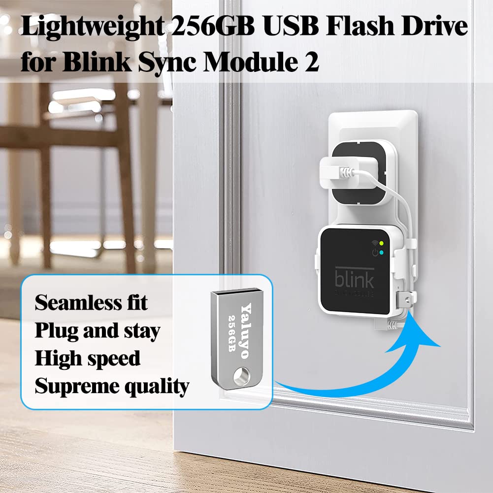 256Gb Usb Flash Drive And Blink Sync Module 2 Mount, Save Space And Easy Mount Bracket For Blink Outdoor Indoor Security Camera