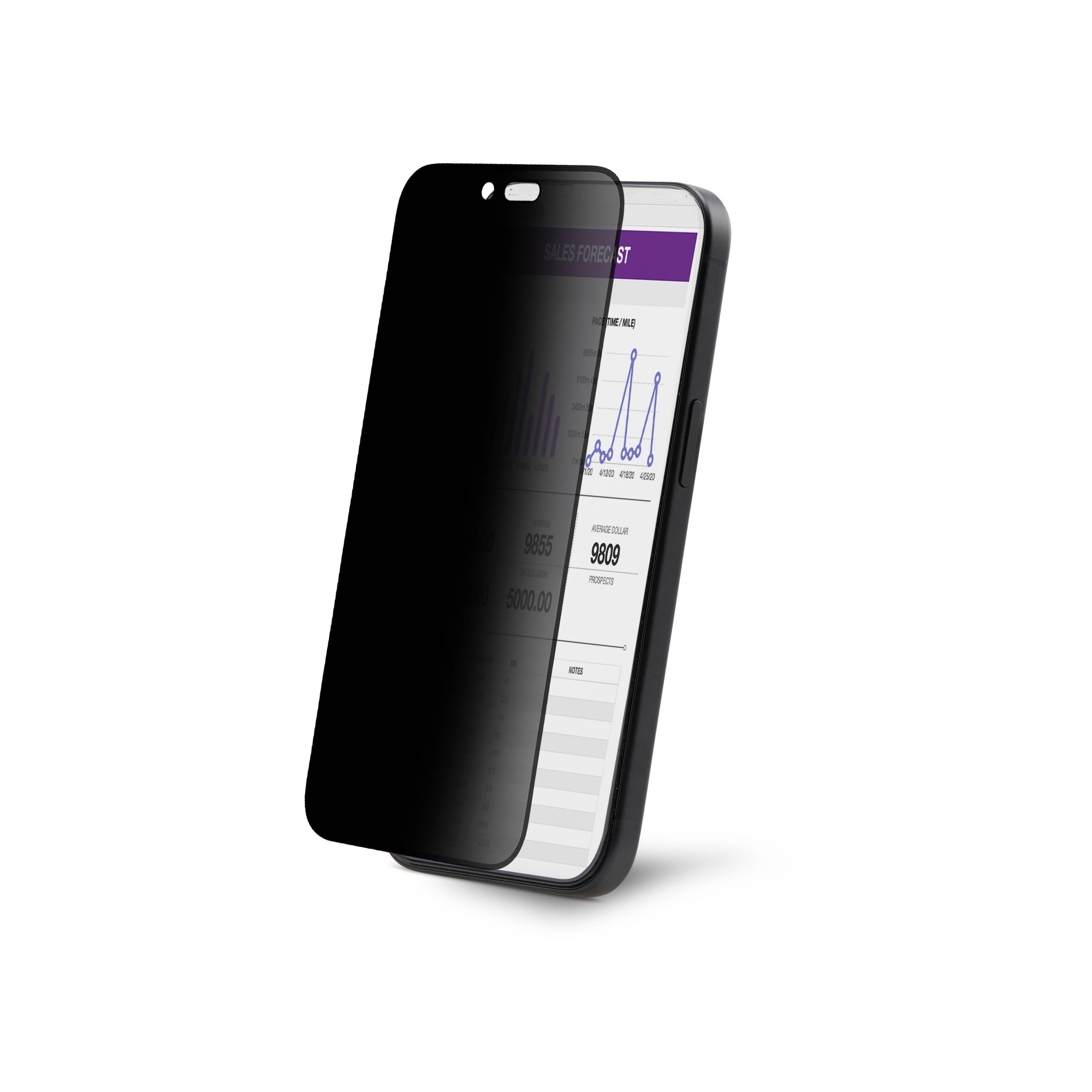 4 Way Privacy Screen iPhone 16