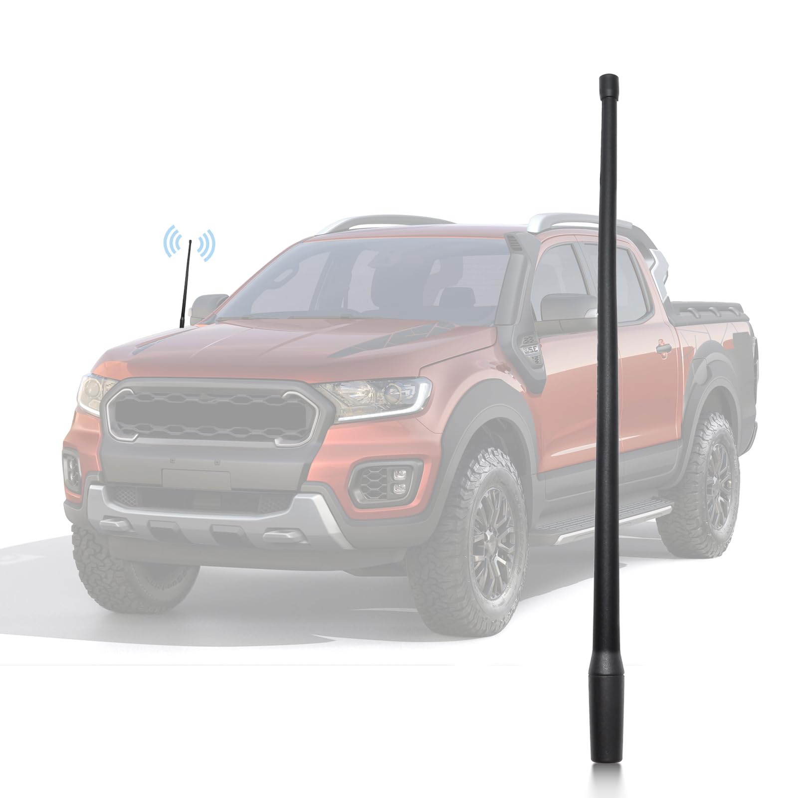 Anina 13'' Car Antenna Mast For Ford 2012 2022 F150 F250 F350 Super Duty Explorer Ranger Escape Focus Aerial Fm/Am Radio Antenna