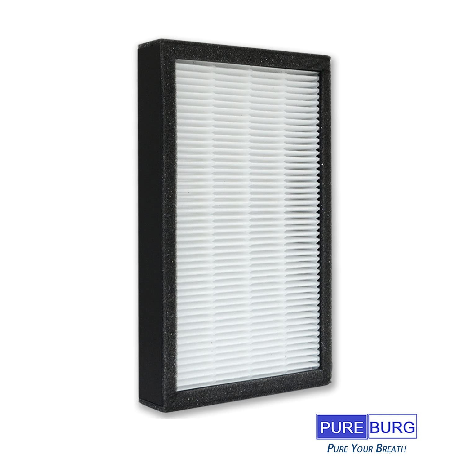 Pureburg Flt4100 Replacement Filter Set Compatible With Germguardian Ac4100 Ac4100Ca Ac4150Bl Ac4150Pca Ac4150Pc Ac4175W Air Pur