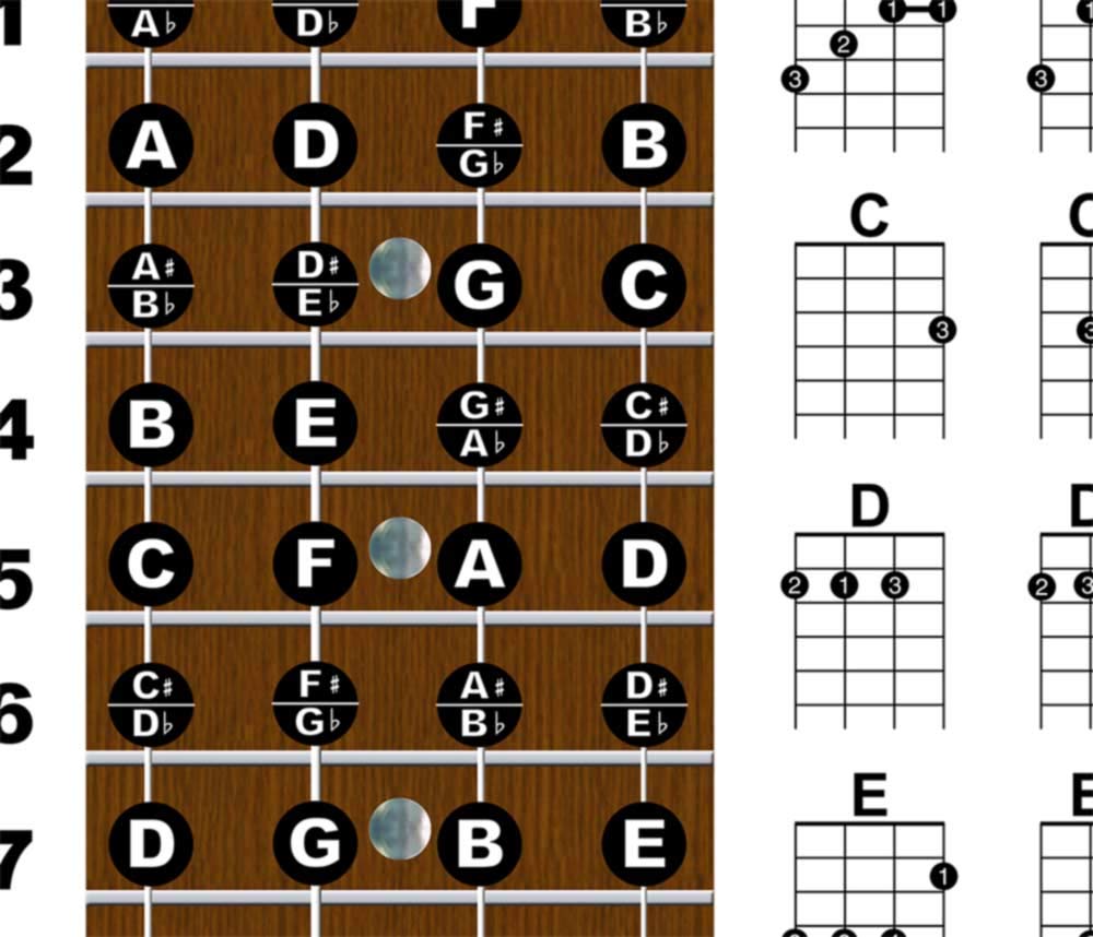 A New Song Music Laminated Ukulele Fretboard & Chord Chart For Soprano Concert Tenor Uke (Gcea) Easy Instructional Poster For No