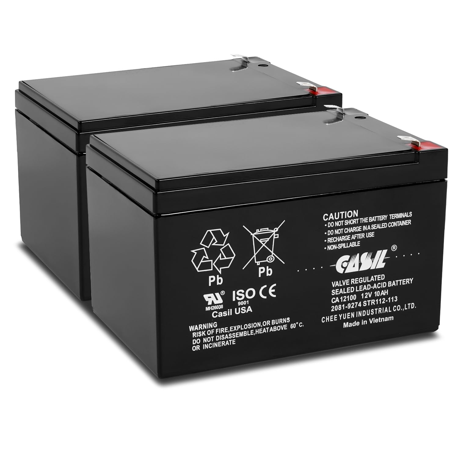 Casil 12V 10Ah Replacement Battery Compatible With Apc Smart Ups Smt1000, Smc1500, Smt1000C, Smt1000Us, Su1000, Su1000Bx120, Sua