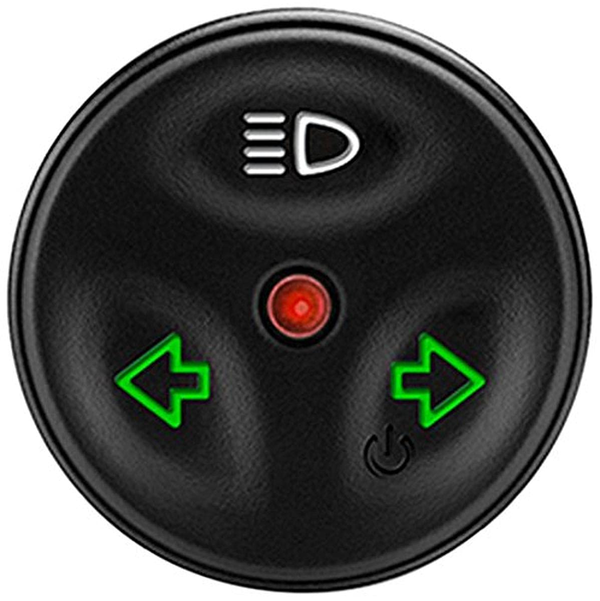 Garmin 010 12094 20 Remote, Varia