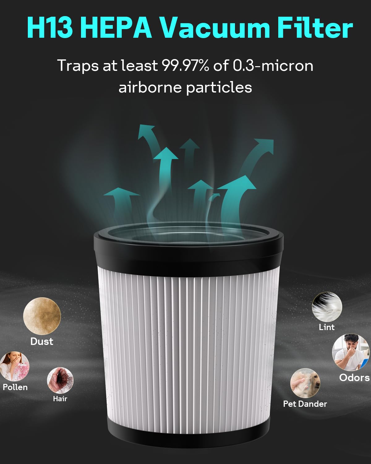 Leemone Hepa Filter Compatiable With Fabuletta Fsv101 & Fsv001, Lubluelu 202, Girnoor G160 & G165, Afoddon A300, Oraimo Osv 102,