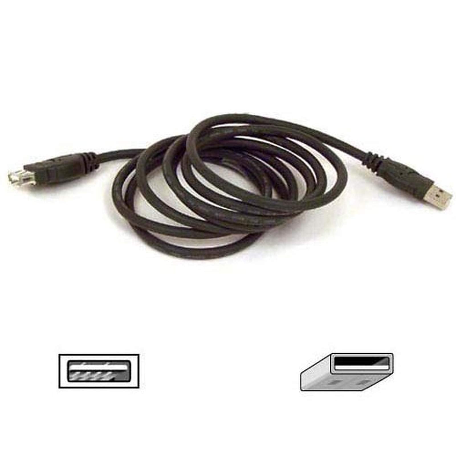 Cable Et Accessoire Belkin Usb A/A Extension Cable 1,8M