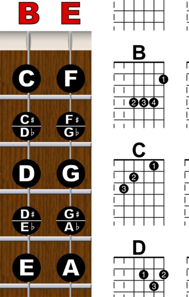 A New Song Music Laminated Guitar Fretboard & Chord Chart & Picks - Easy Instructional Poster For Beginner 4 Pick 11*17Inch