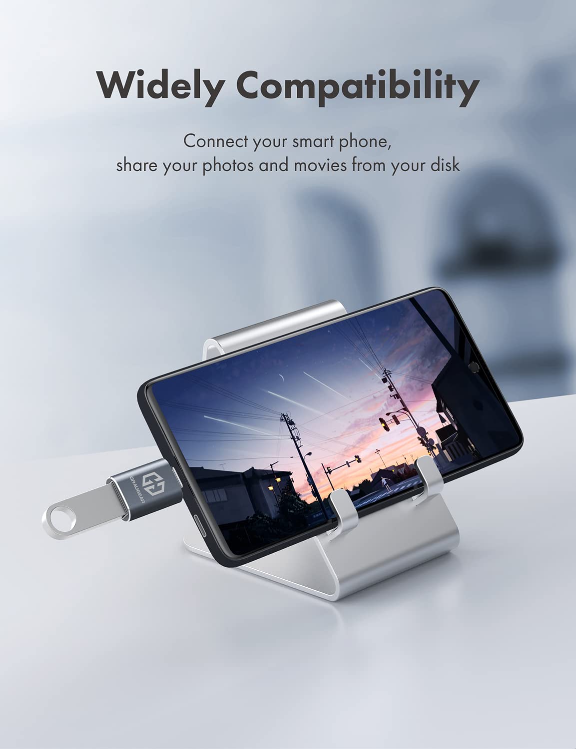 Graugear Usb C To Usb Adapter Pack Of 2, 10Gbps Data Transfer, Usb C Male To Usb A Female Adapter 10Gbps, Compatible With Pc, La