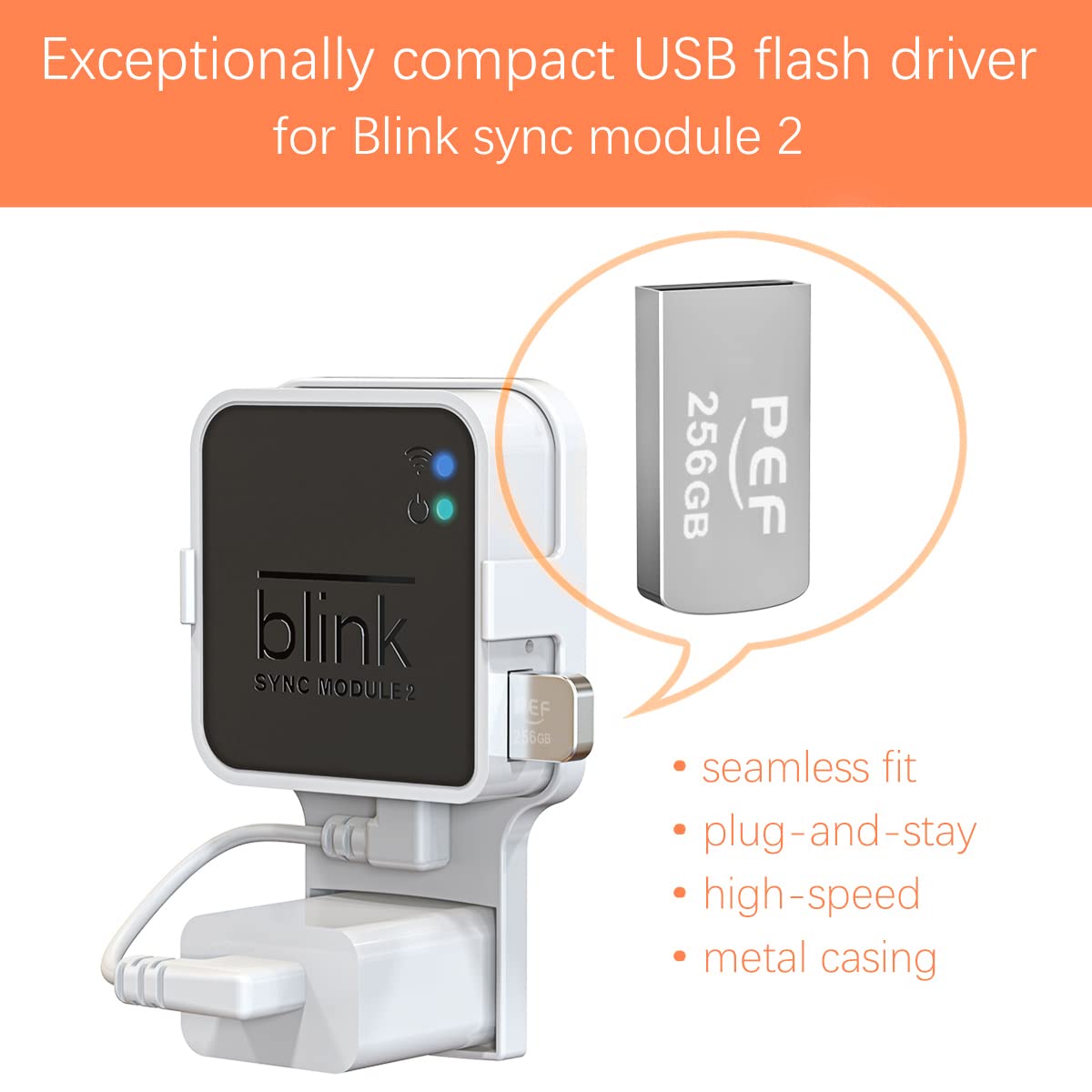256Gb Blink Usb Flash Drive For Local Video Storage And The Outlet Mount For Blink Sync Module 2(Blink Add On Sync Module 2 Itself Is Not Included)
