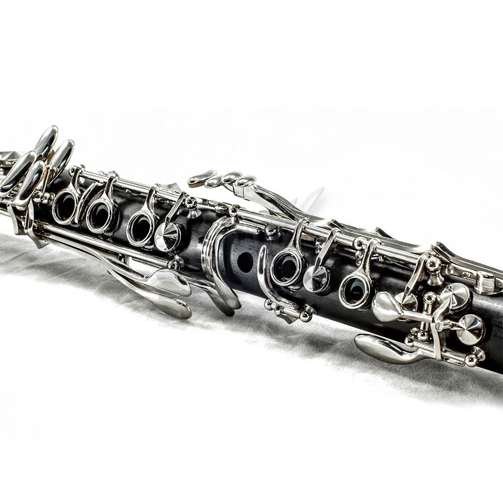 Sky Black Student Ebonite Abs Bb Clarinet With Case, Mouthpiece, 11 Reeds, Care Kit And More