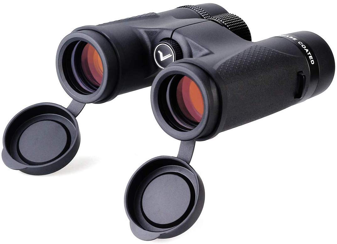 SVBONY SV202 8x32 ED Binocular, IPX7 Waterproof Binoculars for Adults, BaK4 Prism Binoculars with Neck Strap for Bird Watching T