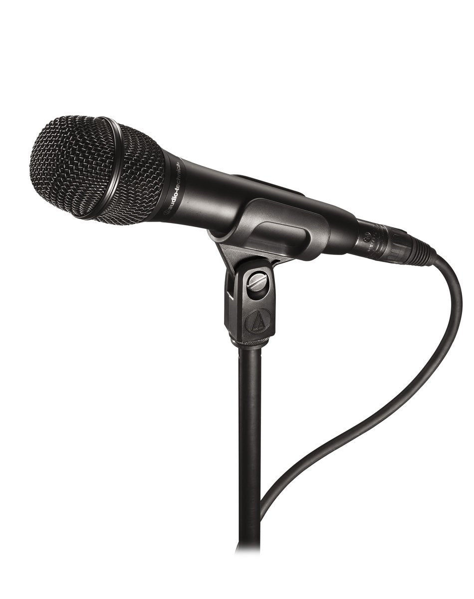 Audio-Technica At2010 Cardioid Condenser Handheld Microphone Bundle With Pop Filter, Xlr Cable, And Austin Bazaar Polishing Clot