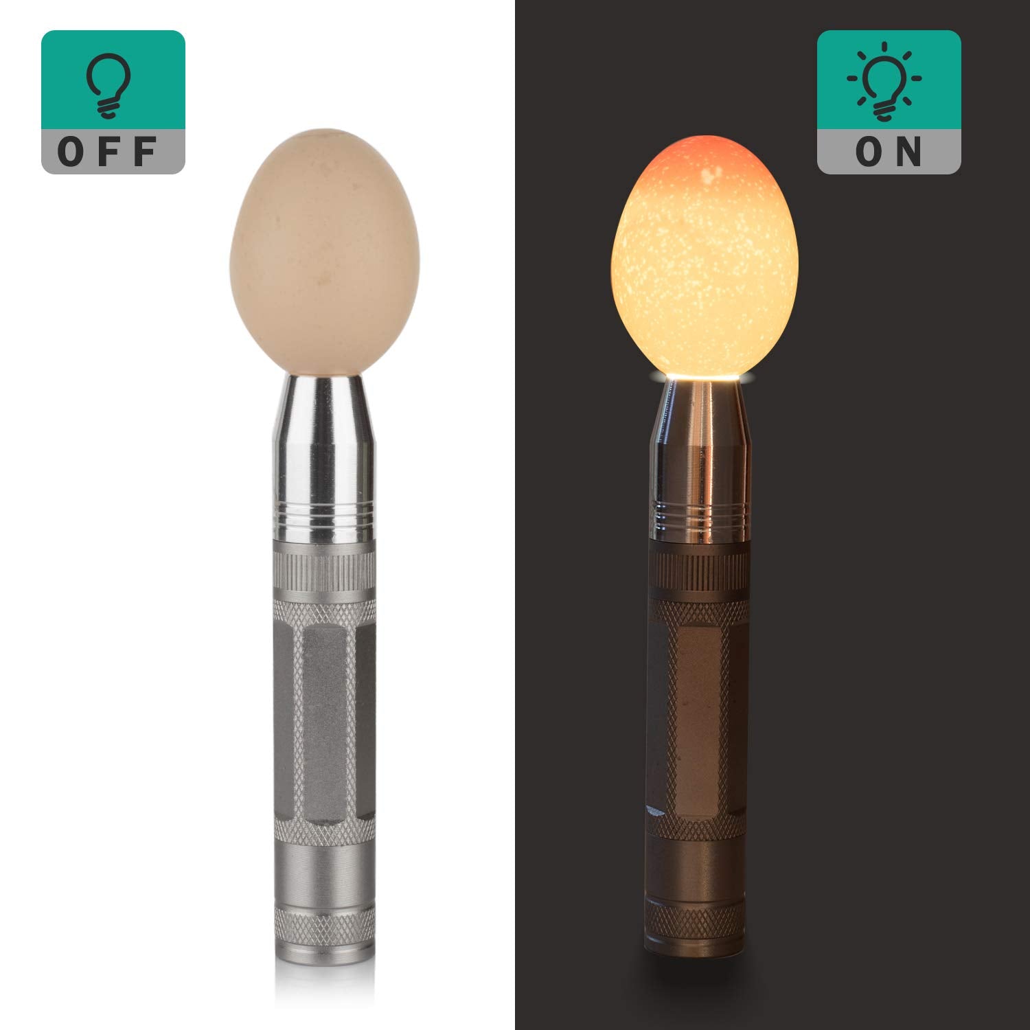 Nestecho Led Light Egg Candler Tester Egg Candler Tester Candling Lamp For All Egg Typ