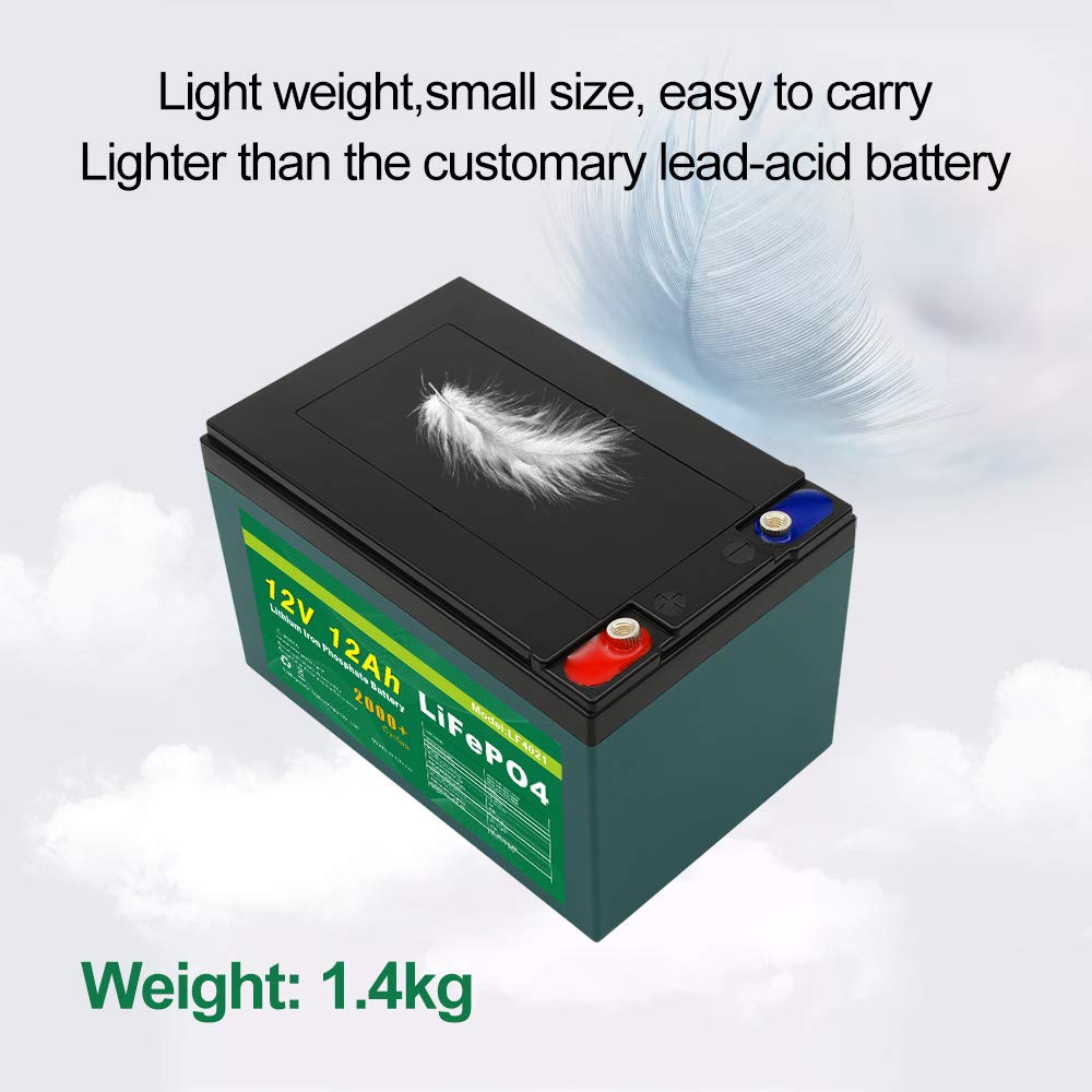 Talentcell 12V 12Ah LiFePO4 Battery Pack LF4021 - Deep Cycle Rechargeable Lithium Iron Phosphate, 153.6Wh