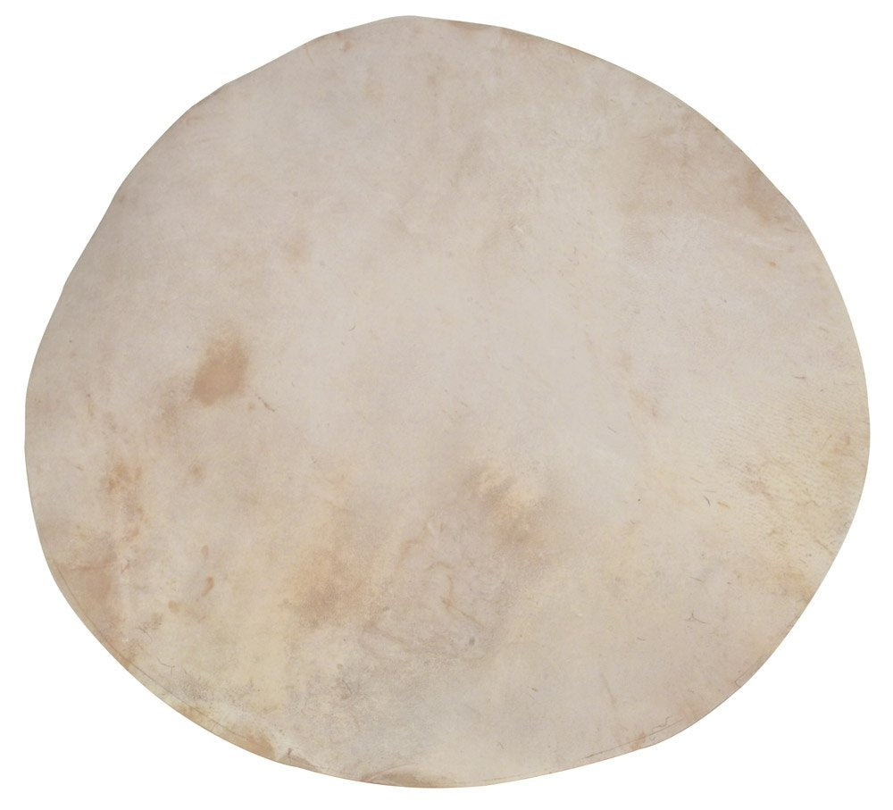 Golden Gate P 198 Flat Goatskin Banjo Head   16''