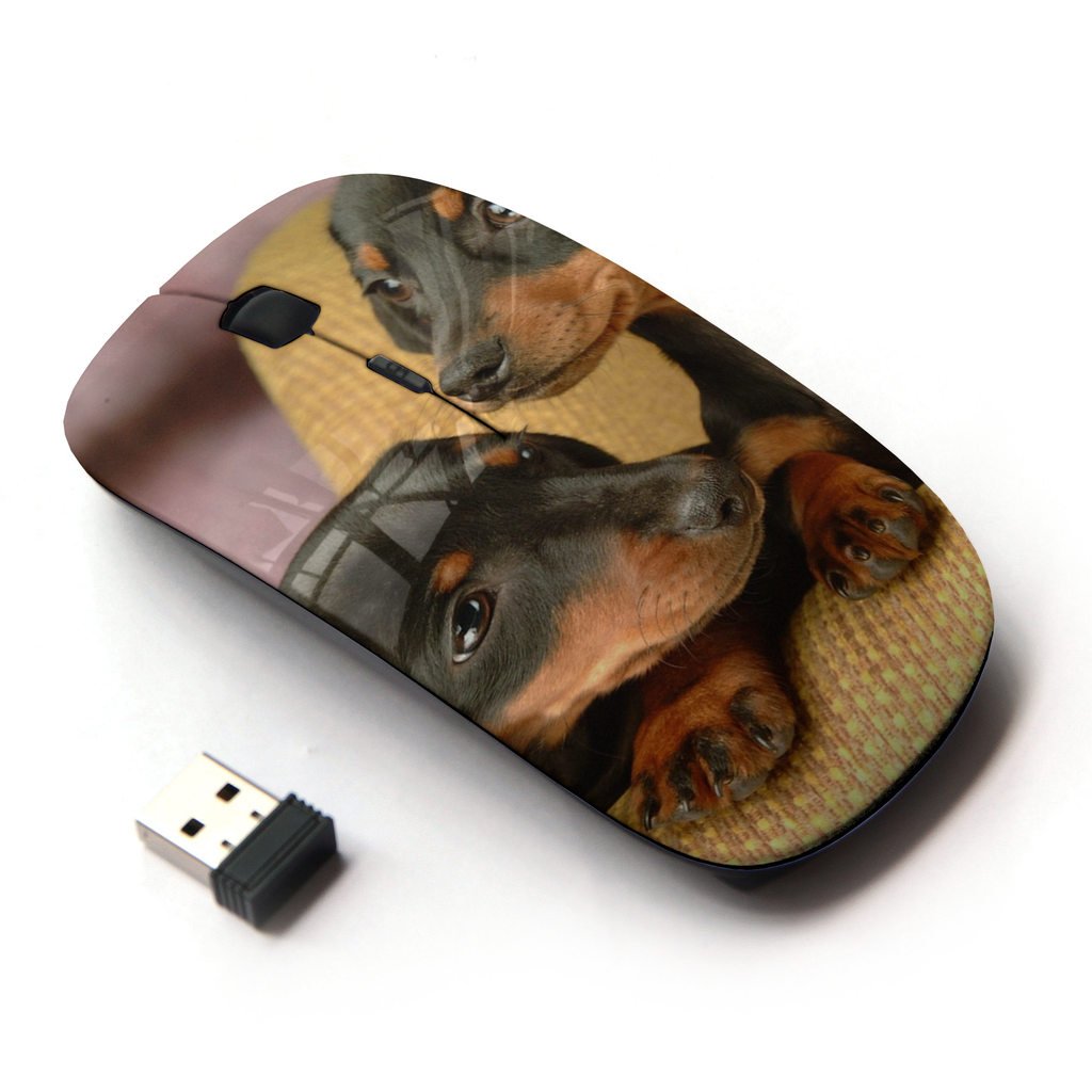 Koolmouse [ Optical 2.4G Wireless Mouse [ Dachshund Miniature Puppies Dog Shorthair ]