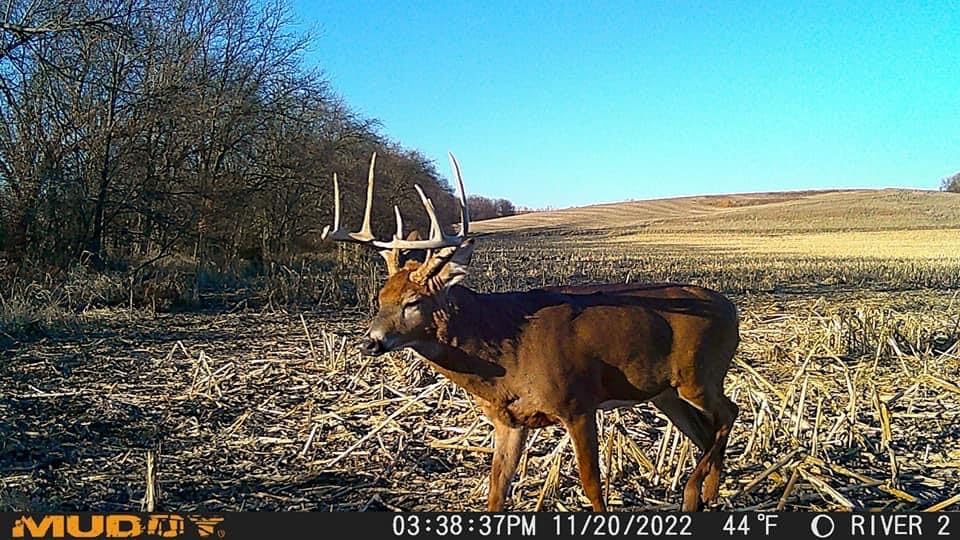 Muddy Mitigator Cellular 24Mp Imaging Trail Camera With 80 Feet Detection And Flash Range And 0.7 Second Trigger Speed