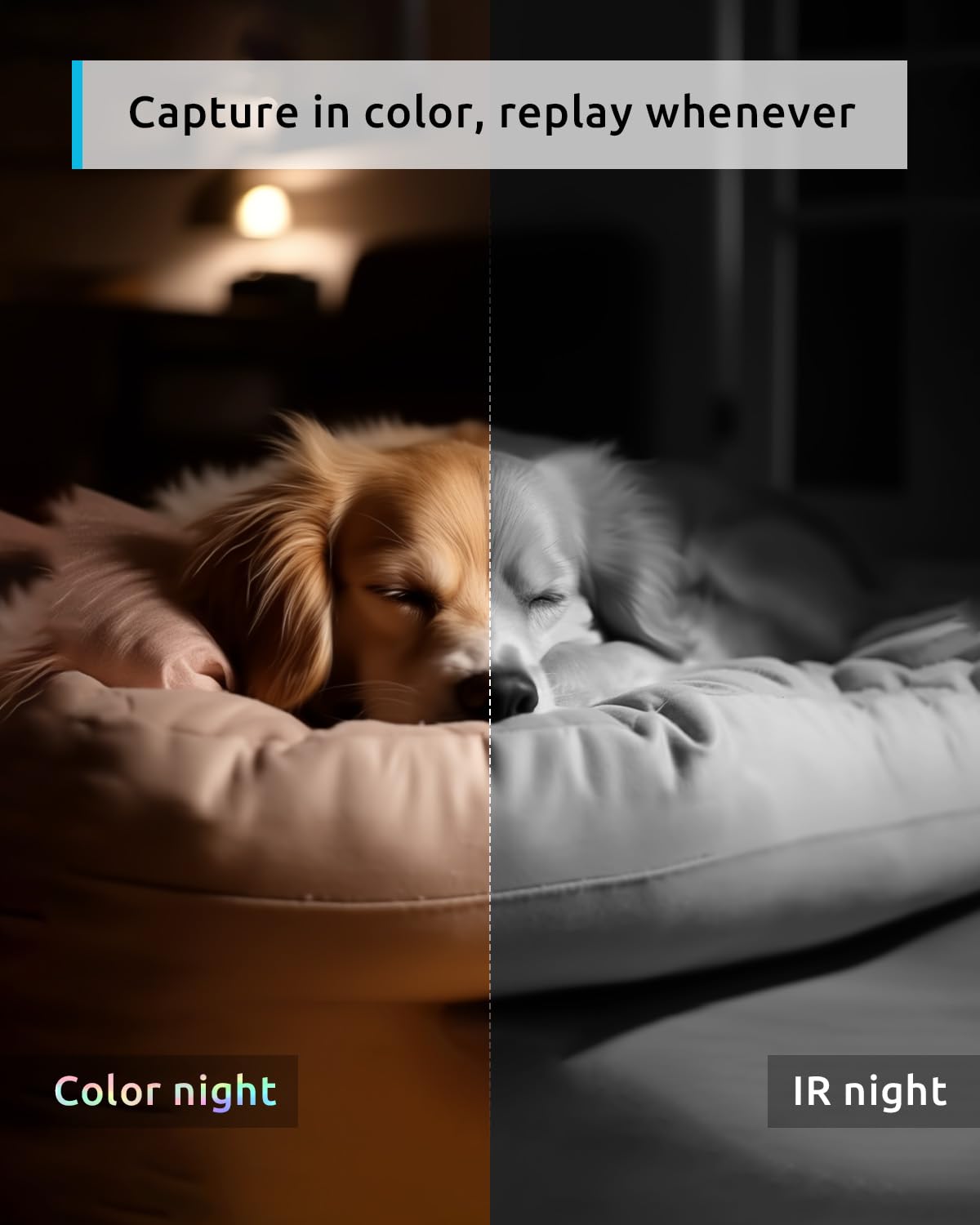 Blurams Pet Camera 2K, 360 Indoor Security Camera, Dog Camera With Phone App, Ptz Cameras For Home Security Indoor, 2 Way Audio,