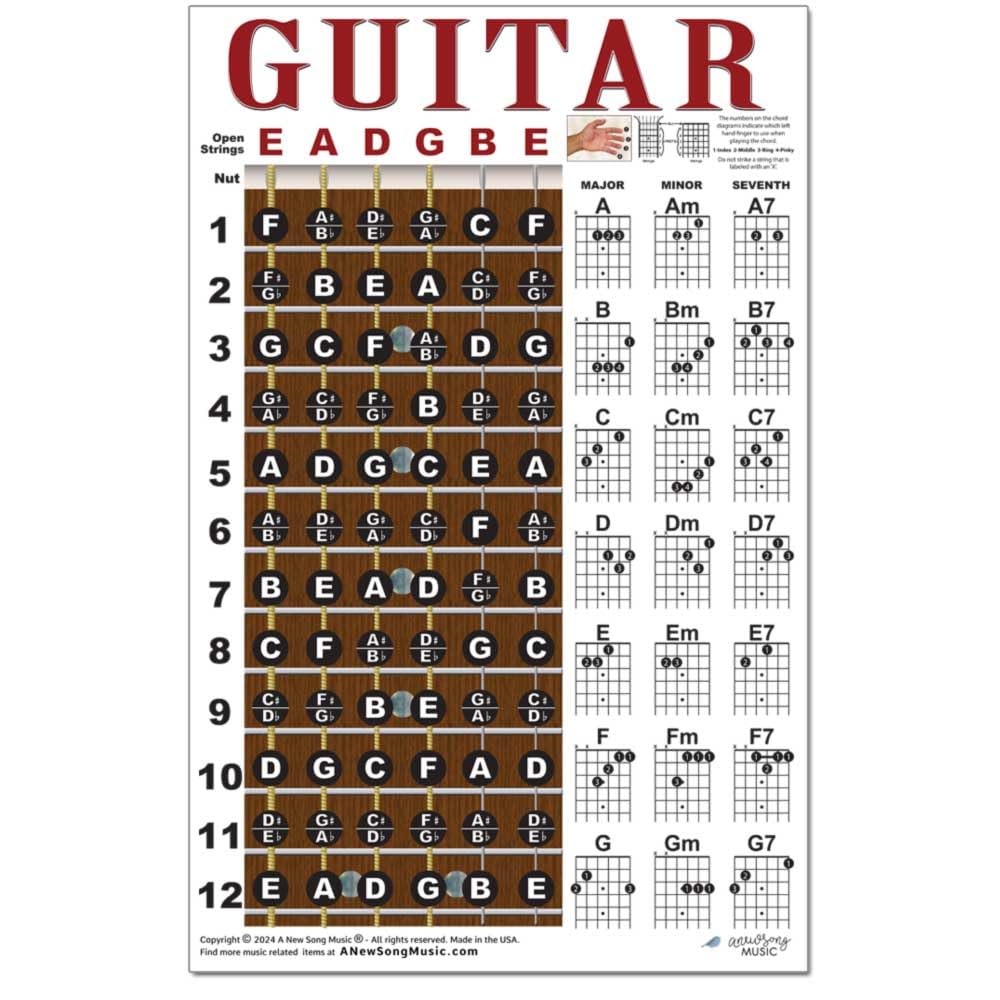 A New Song Music Laminated Guitar Fretboard & Chord Chart & Picks - Easy Instructional Poster For Beginner 4 Pick 11*17Inch