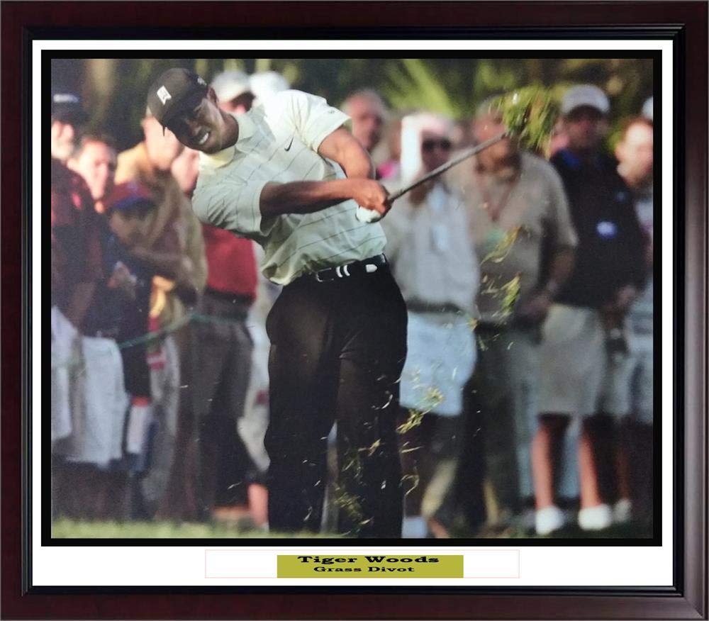 Tiger Woods Action Divot Photo PGA Golf Legend