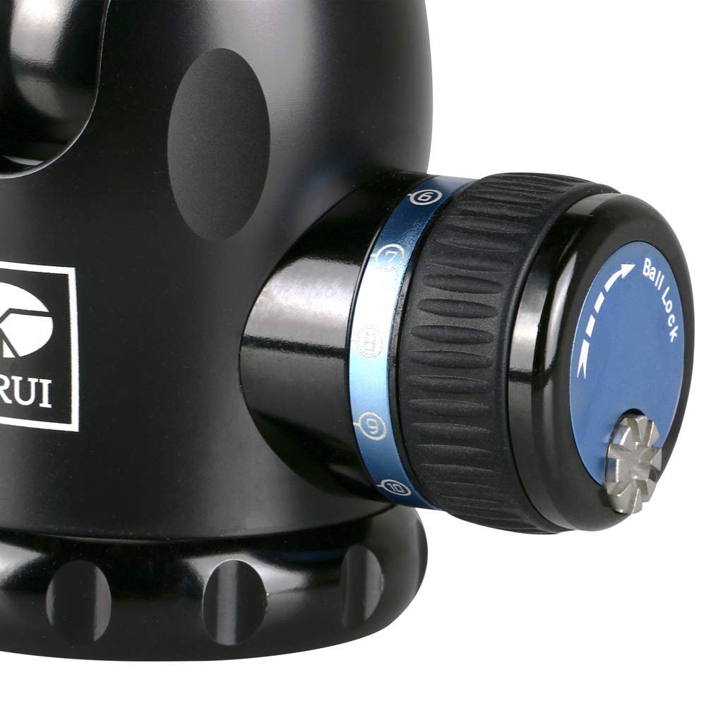 Sirui Am 02 Aluminum Ball Head, Professional Tripod Head With Panorama Base,Ty 50X Arca Quick Release Plate, Max Loading 55Lbs/25Kg (K 20X)