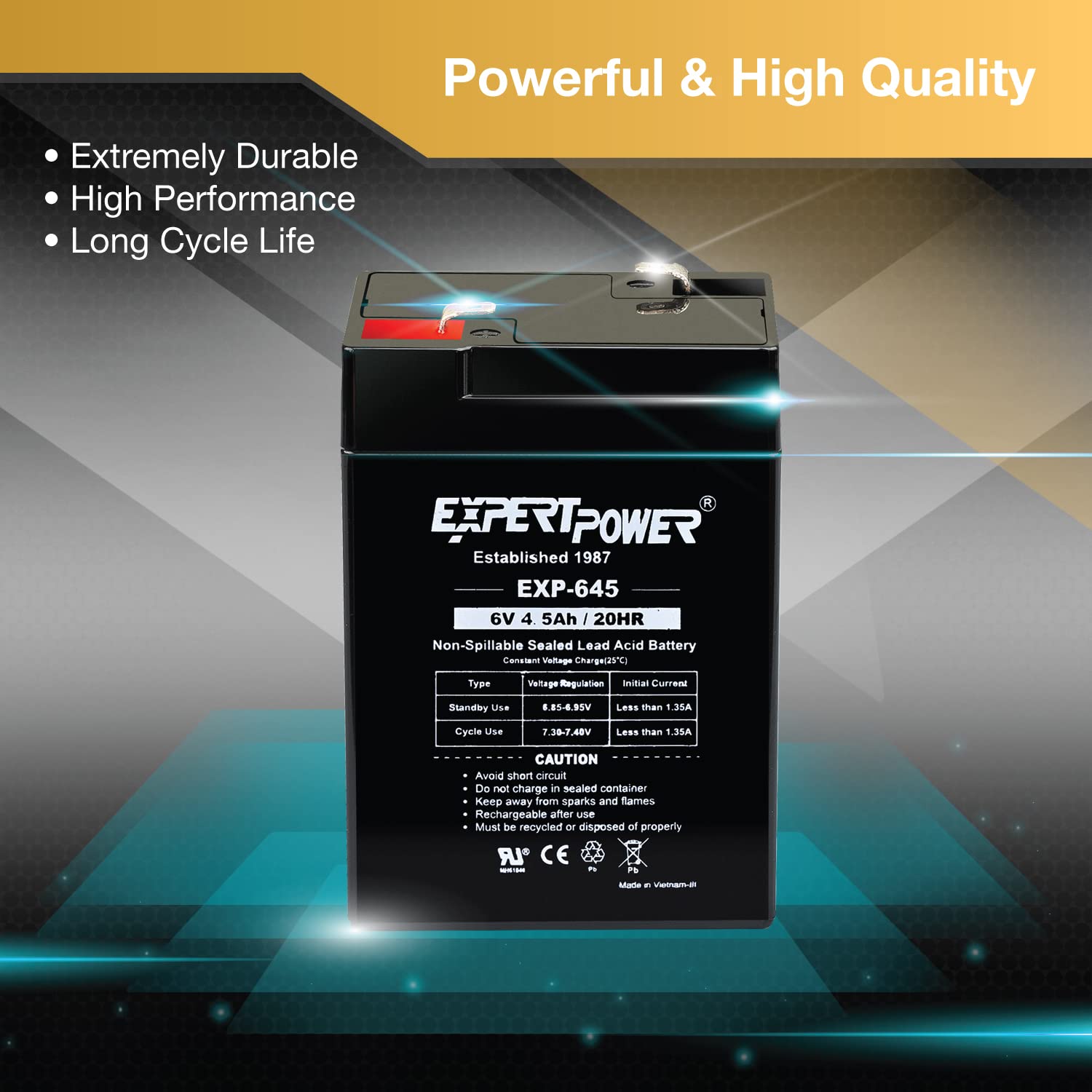 Expertpower 6 Volt 4.5 Amp Rechargeable Battery (Exp645)