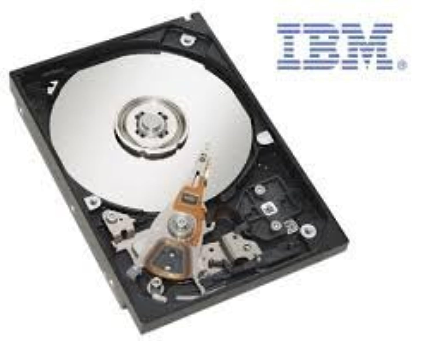 Ibm 42D0637 - 300Gb 2.5 Sas 10K 6Gb/S Ss Hard Drive