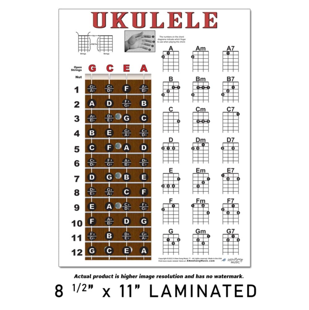A New Song Music Laminated Ukulele Fretboard & Chord Chart For Soprano Concert Tenor Uke (Gcea) Easy Instructional Poster For No