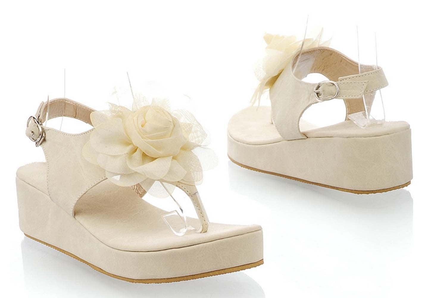 Nwcbl Acpadd5Fcat6Gy R