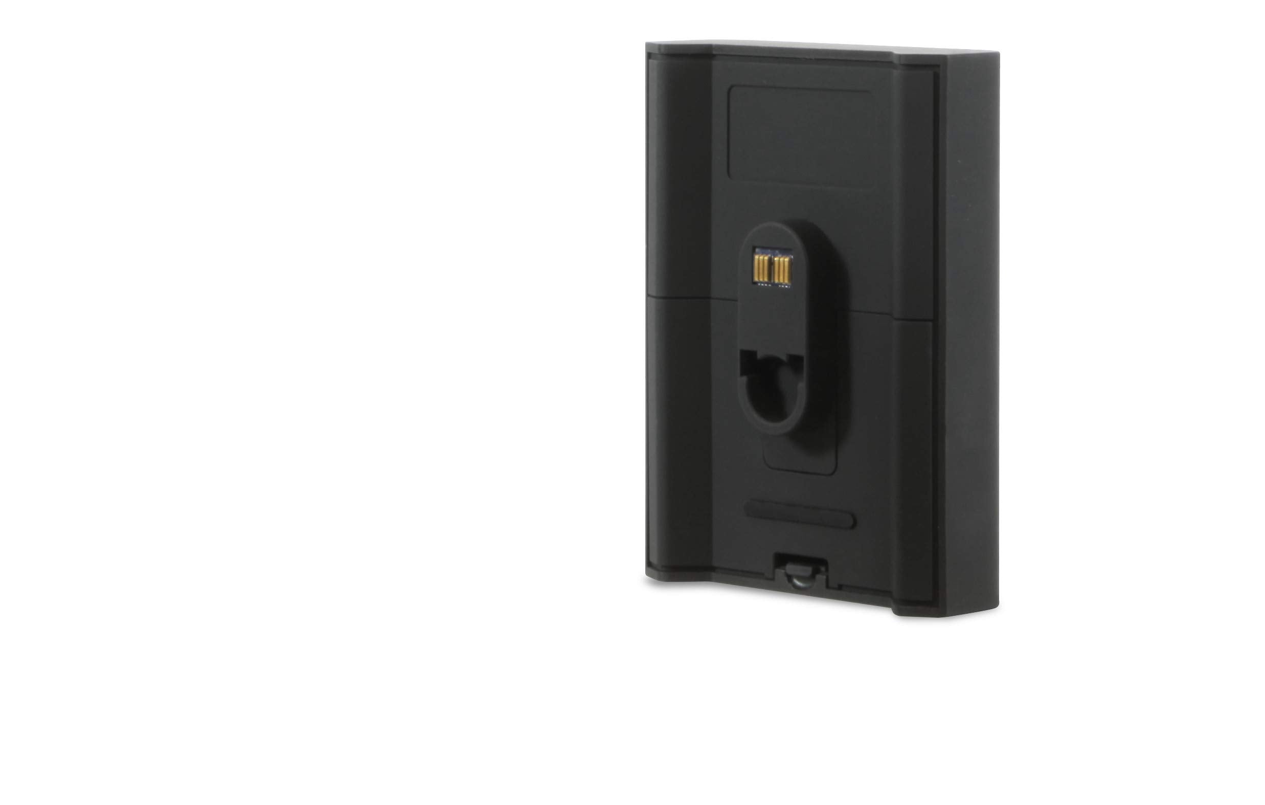 Bluesound Bp100 Battery Pack For Pulse Flex   Black