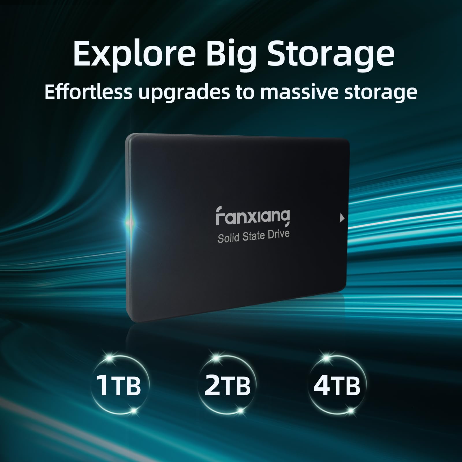 Fanxiang S109 2.5'' Sata Ssd 1Tb With Dram Cache, Up To 560Mb/S, Continuous Writing Without Slowing Down, 3D Nand Tlc, Internal