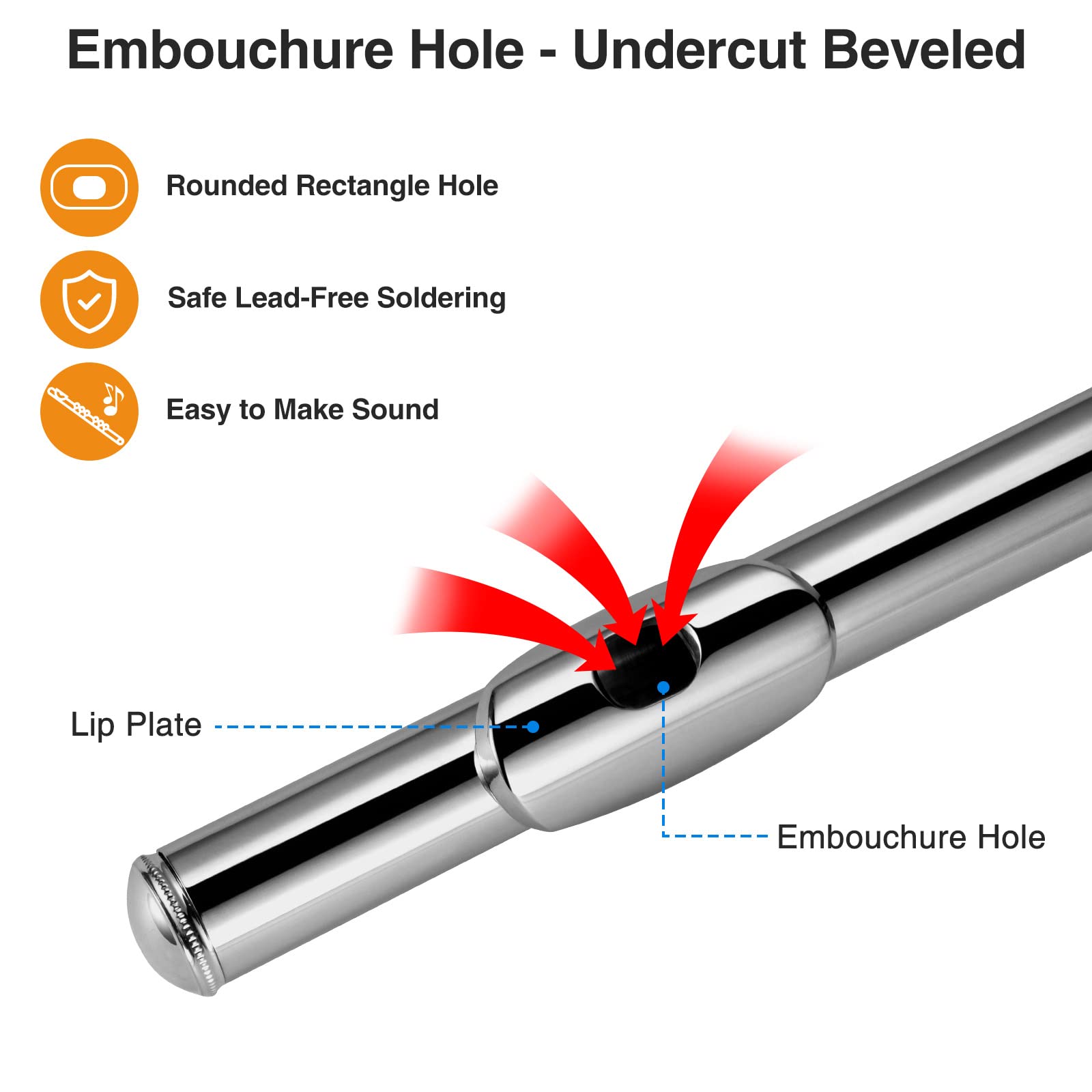 Pogolab Flutes, Closed Hole C 16 Keys Flute Instrument, Student Flute For Beginner Advanced Player, With Flute Cleaning Kit, Car