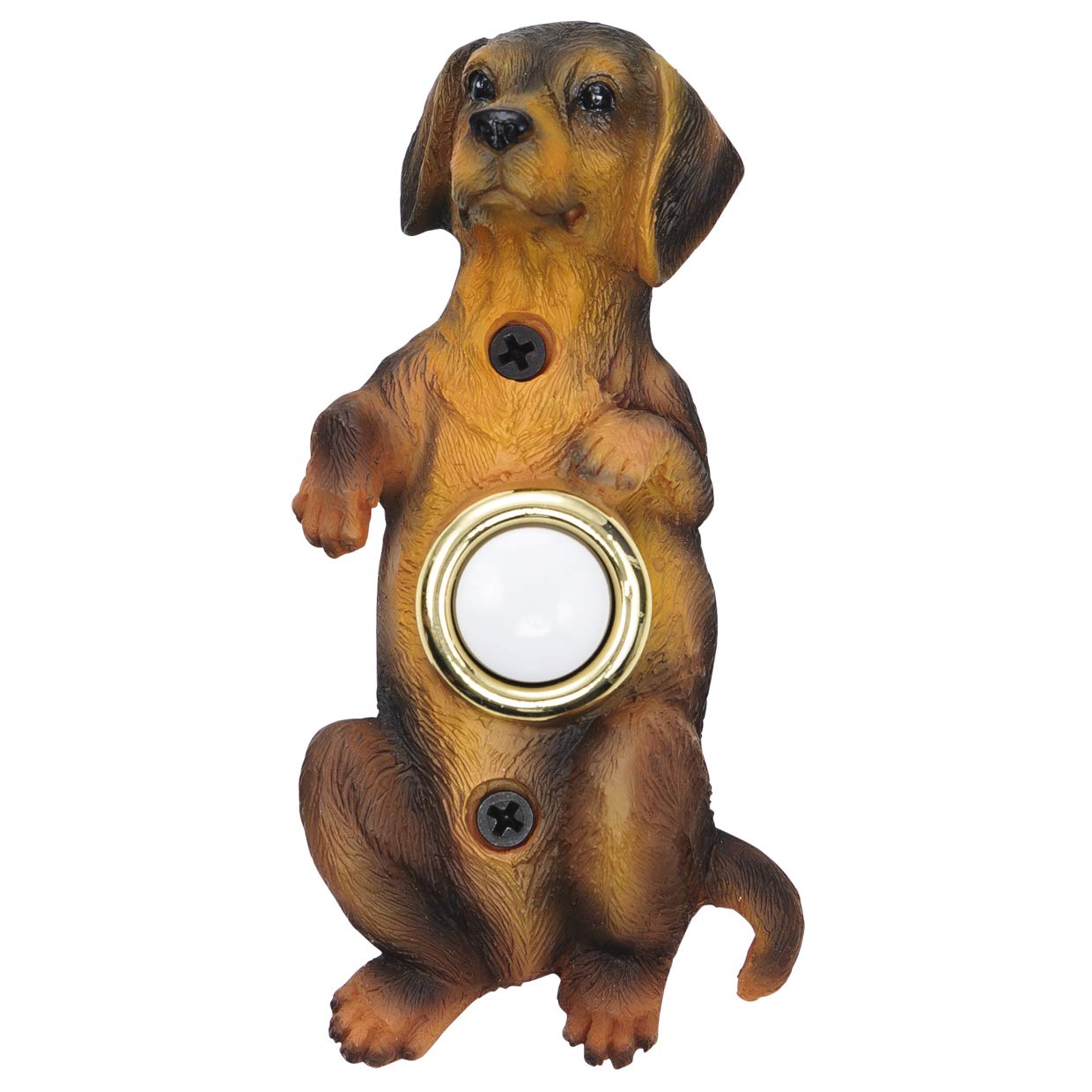 Waterwood Hand Painted Brown Begging Dachshund Doorbell   Wired & Illuminated Push Button Cast In Durable Polyresin