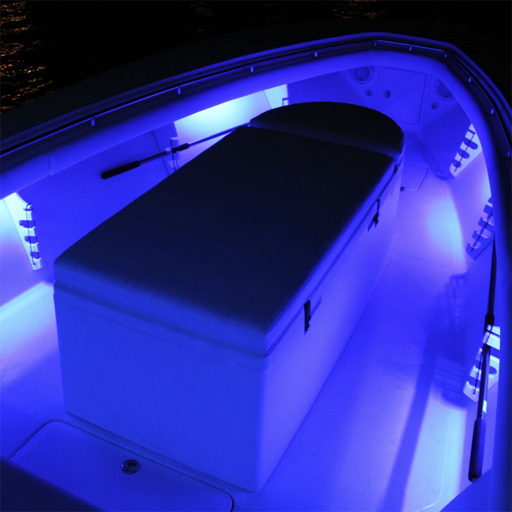 Lumitec 12-Inch Rail2 White/Blue Dimmable Output Light 101081,WBLITB004NETATQ