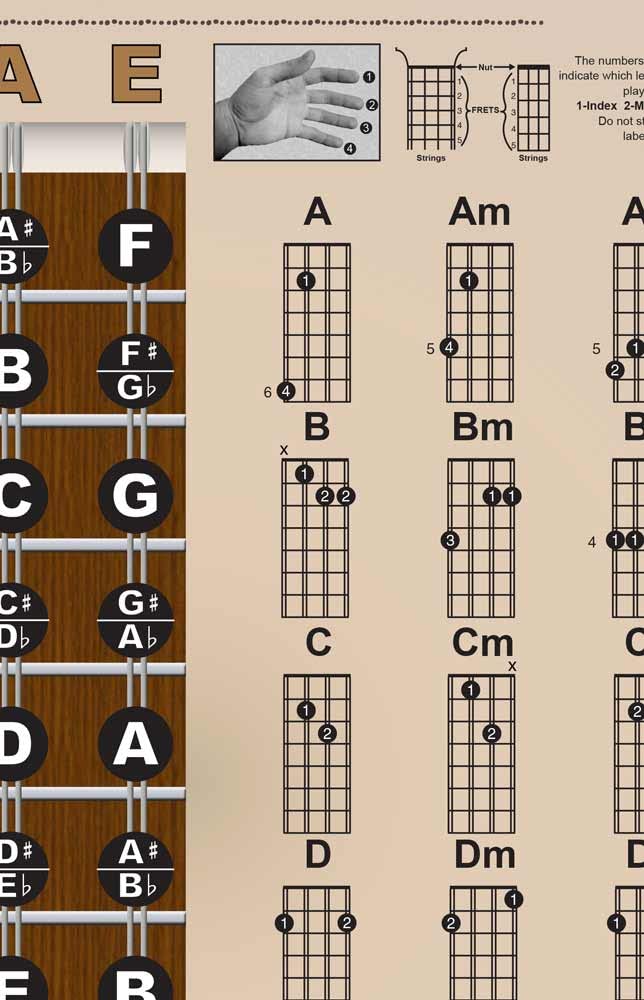 Laminated Mandolin Americana Style Easy Chord & Fretboard Note Chart Instructional Poster For Beginners Chords & Notes A New Son